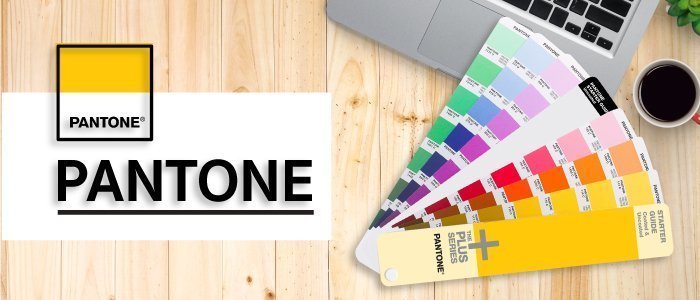 Pantone หรือ Pantone Matching System (PMS) เป็นมาตรฐานของระบบสี ที่ใช้กันแพร่หลายมากที่สุด โดยมีเป้าหมายเพื่อให้มั่นใจว่าการพิมพ์ทุกครั้งจากผู้พิมพ์รายใดก็ตามที่ใช้ระบบ Pantone จะได้สีของสิ่งพิมพ์ออกมาเหมือนกัน 100%
