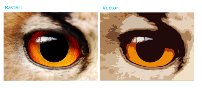 Vector and Raster Graphics - The Differences